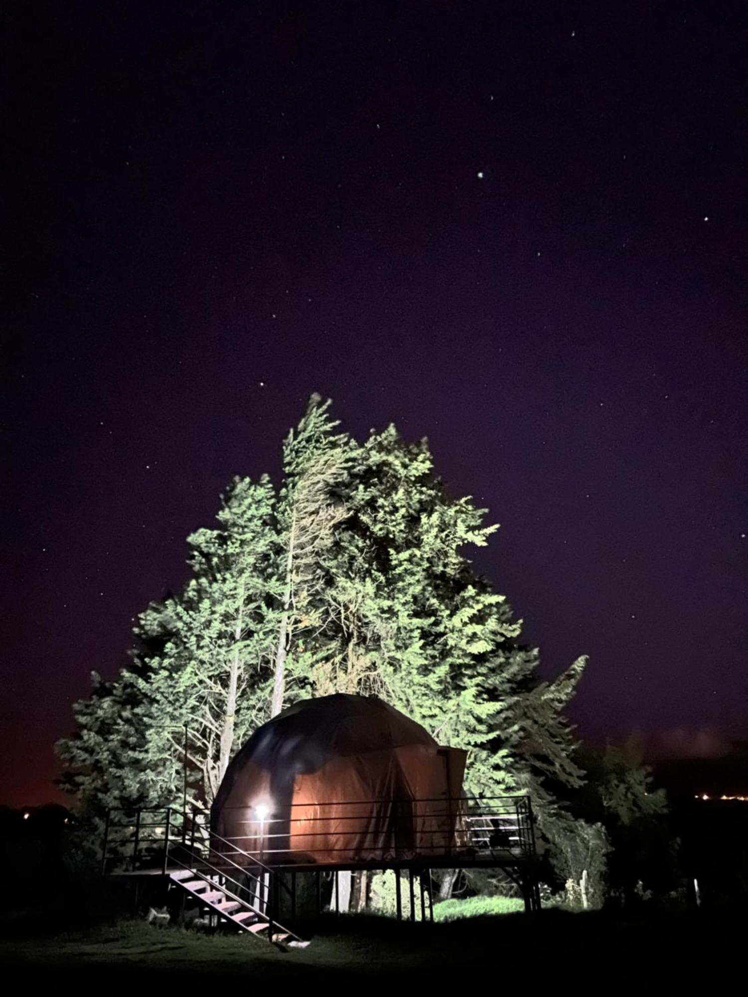 Green Noise Glamping Fraijanes Eksteriør bilde